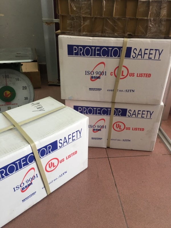 BÁO GIÁ KIỂM ĐỊNH ĐẦU PHUN PROTECTOR 2021