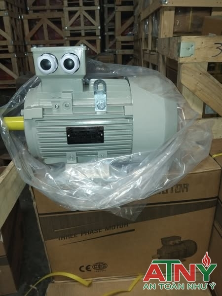 Báo giá motor 2025 giá rẻ tại TPHCM