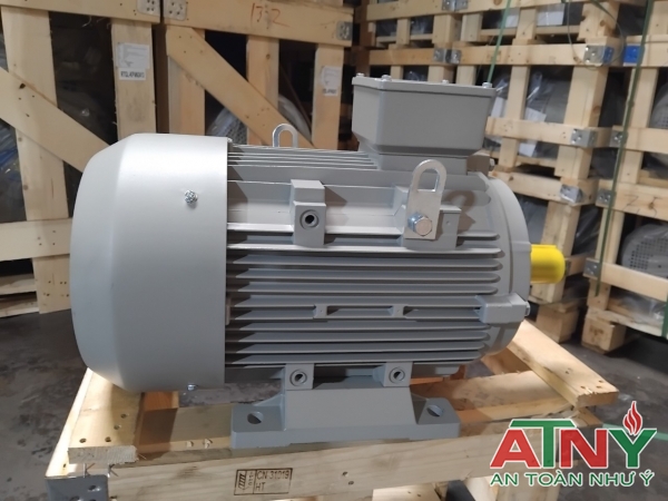 Cung cấp phân phối giá đại lý windy motor hiệu Rem 1 pha 3 pha cấp nước pccc