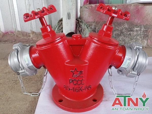 Đầu trụ chữa cháy 2 cửa DN100x2DN65 có kiểm định tem pccc