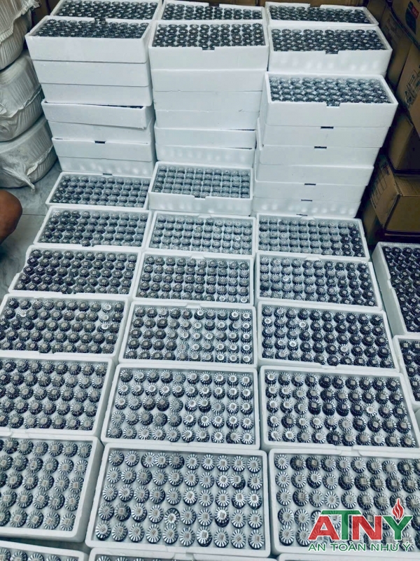 Gía đầu phun k8 k5.6 k11.2 có kiểm định năm 2026