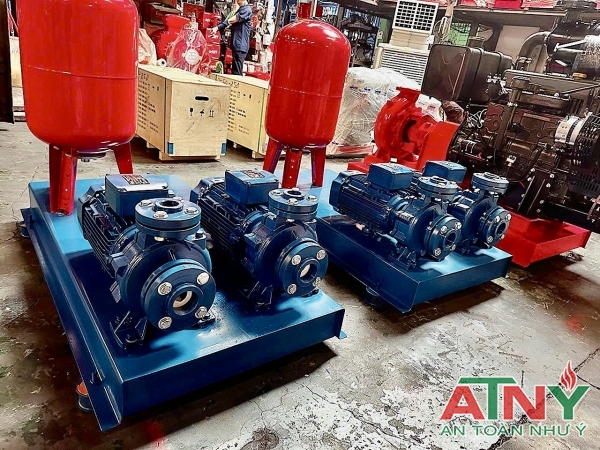 Máy bơm cấp nước tăng áp Ecopumps ie3 tiêu chuẩn châu âu