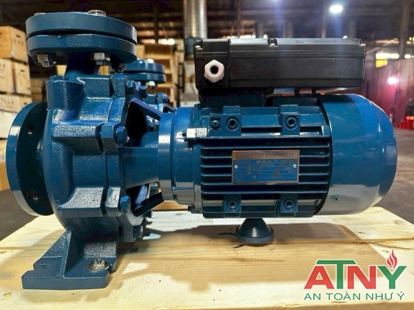 Máy bơm điện cấp nước giá rẻ Windy Việt Nam