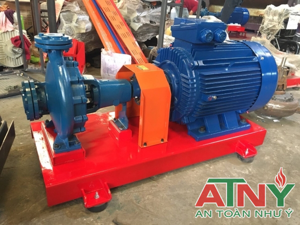 MÁY BƠM ĐIỆN DIESEL PENTAX ITALY TRỤC RỜI LÀ GÌ