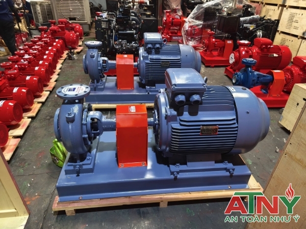 Máy bơm điện trục rời đầu bơm ebara động cơ Elektrim ATT Enertech