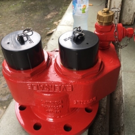 HỌNG TIẾP NƯỚC EVERSAFE-MALAYSIA