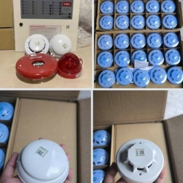 Báo cháy horing kiểm định tem 2026