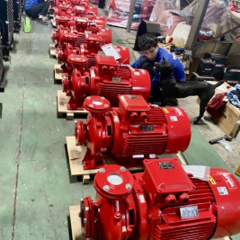 Báo giá máy bơm windy năm 2023