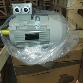 Báo giá motor 2025 giá rẻ tại TPHCM