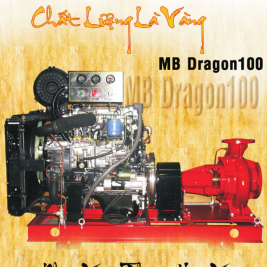 Máy bơm chữa cháy diesel 130hp/95kw Q=113 l/s,H=70m