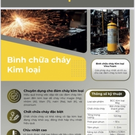Catalogue thông số bình chữa cháy D kim loại 8kg