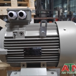 Cung cấp phân phối giá đại lý windy motor hiệu Rem 1 pha 3 pha cấp nước pccc