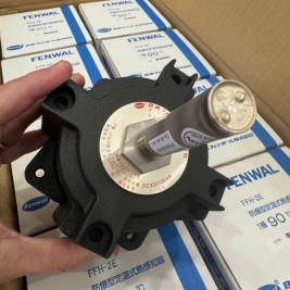 Đầu báo nhiệt môi trường nguy hiểm chống nổ nittan FFH-2E-090