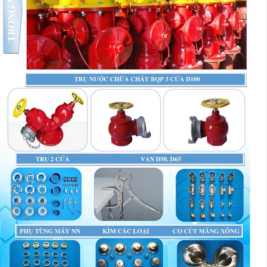 Đầu trụ chữa cháy họng tiếp nước 2 họng 2 cửa DN65 kiểm định cấp tem pccc