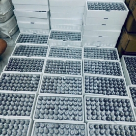 Gía đầu phun k8 k5.6 k11.2 có kiểm định năm 2026