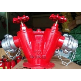TRỤ CHỮA CHÁY 2 HỌNG GIÁ RẺ TẠI TPHCM