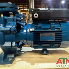 Máy bơm điện cấp nước giá rẻ Windy Việt Nam