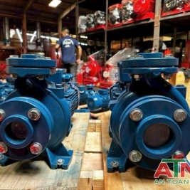 Máy bơm điện cấp nước giá rẻ Windy Việt Nam