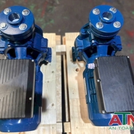 Máy bơm điện cấp nước giá rẻ Windy Việt Nam