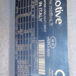 Máy bơm điện Motive đầu bơm pentax Ý