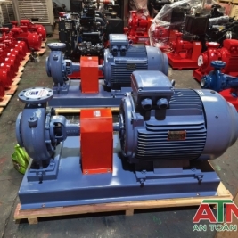 Máy bơm điện trục rời đầu bơm ebara động cơ Elektrim ATT Enertech