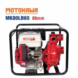 Máy bơm xăng 13hp giá rẻ có đề khiêng tay di động