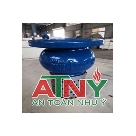 Rọ hút luppe van đáy mặt bít inox 304 d50 d65 d80 d100 d125 d150