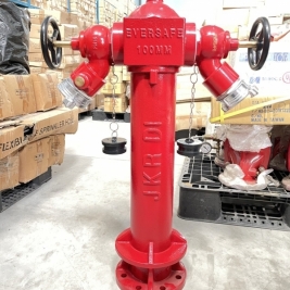 Trụ chữa cháy Malaysia Eversafe DN100x2xDN65