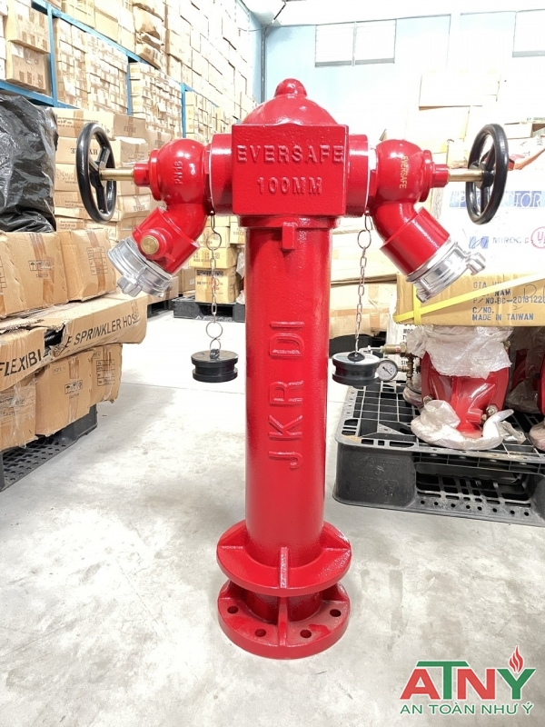 Trụ chữa cháy Malaysia Eversafe DN100x2xDN65
